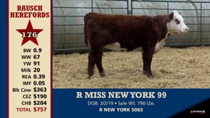 Lot #176 - R MISS NEW YORK 99