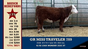 Lot #175 - GR MISS TRAVELER 789