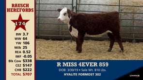 Lot #174 - R MISS 4EVER 859