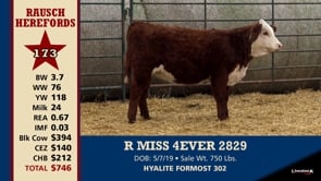 Lot #173 - R MISS 4EVER 2829