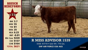 Lot #172 - R MISS ADVISOR 1539