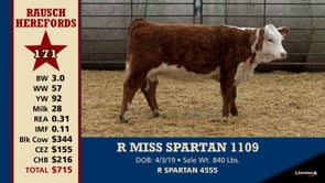 Lot #171 - R MISS SPARTAN 1109