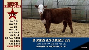 Lot #170 - R MISS ANODIZE 529