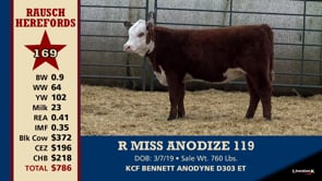 Lot #169 - R MISS ANODIZE 119