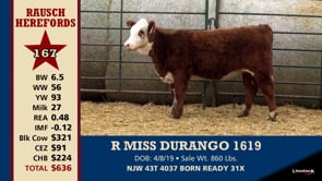 Lot #167 - R MISS DURANGO 1619