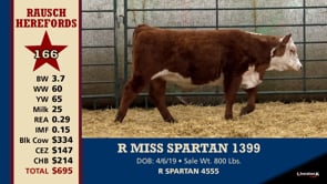 Lot #166 - R MISS SPARTAN 1399