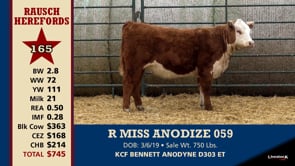Lot #165 - R MISS ANODIZE 059