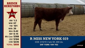 Lot #164 - R MISS NEW YORK 029