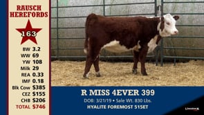 Lot #163 - R MISS 4EVER 399