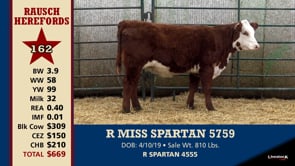 Lot #162 - R MISS SPARTAN 5759