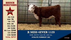 Lot #161 - R MISS 4EVER 1129