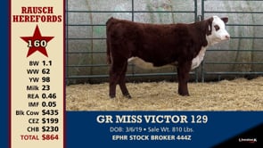 Lot #160 - GR MISS VICTOR 129