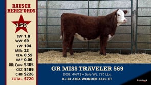 Lot #159 - GR MISS TRAVELER 569