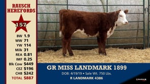 Lot #157 - GR MISS LANDMARK 1899