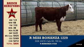 Lot #156 - R MISS BONANZA 1229