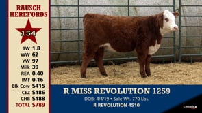 Lot #154 - R MISS REVOLUTION 1259