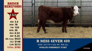 Lot #152 - R MISS 4EVER 409