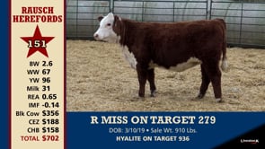 Lot #151 - R MISS ON TARGET 279