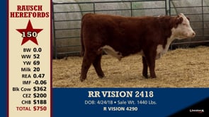 Lot #150 - RR VISION 2418