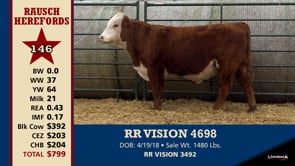 Lot #146 - RR VISION 4698