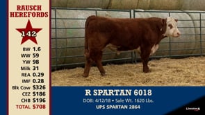 Lot #142 - R SPARTAN 6018