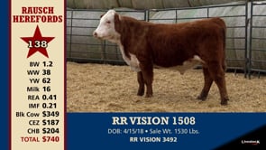 Lot #138 - RR VISION 1508