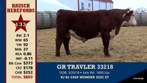 Lot #133 - GR TRAVELER 33218