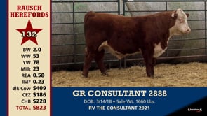 Lot #132 - GR CONSULTANT 2888