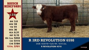 Lot #128 - R 3RD REVOLUTION 6598