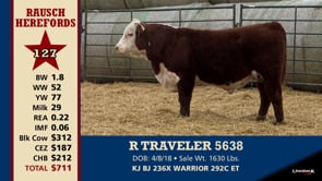 Lot #127 - R TRAVELER 5638