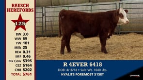 Lot #125 - R 4EVER 6418