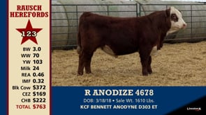 Lot #123 - R ANODIZE 4678
