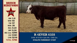 Lot #122 - R 4EVER 6328