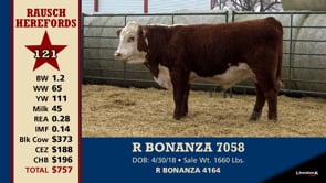 Lot #121 - R BONANZA 7058