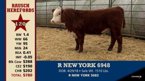 Lot #120 - R NEW YORK 6948