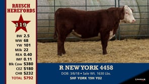 Lot #119 - R NEW YORK 4458