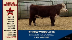 Lot #117 - R NEW YORK 4758