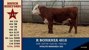 Lot #114 - R BONANZA 4818