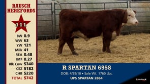 Lot #111 - R SPARTAN 6958