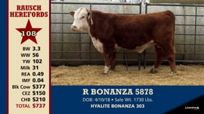 Lot #108 - R BONANZA 5878