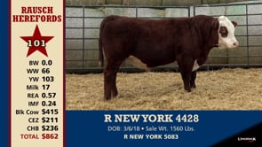 Lot #101 - R NEW YORK 4428