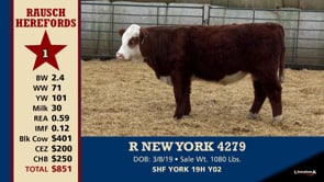 Lot #1 - R NEW YORK 4279