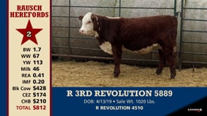 Lot #2 - R 3RD REVOLUTION 5889