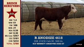 Lot #99 - R ANODIZE 4618