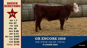 Lot #97 - GR ENCORE 2858