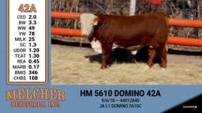 Lot #42A - HM 5610 DOMINO 42A
