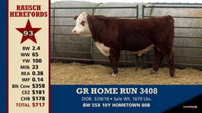 Lot #93 - GR HOME RUN 3408