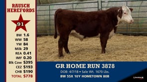 Lot #91 - GR HOME RUN 3878