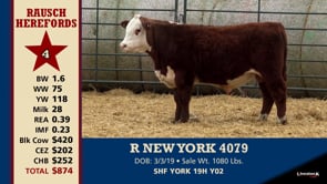 Lot #4 - R NEW YORK 4079