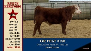 Lot #86 - GR FELT 3158